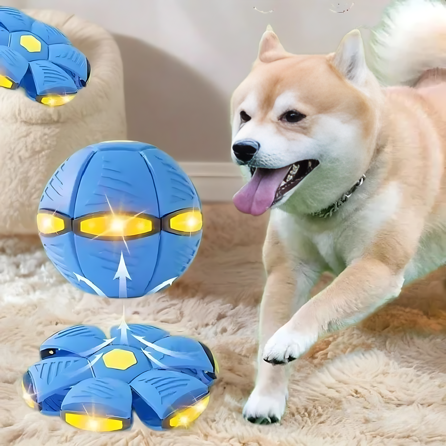 Starlight Dog Disc