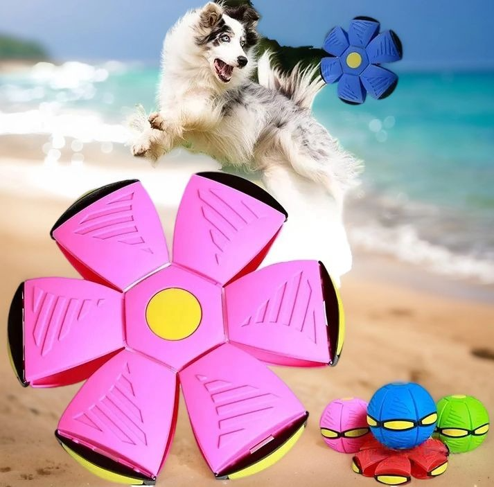 Starlight Dog Disc