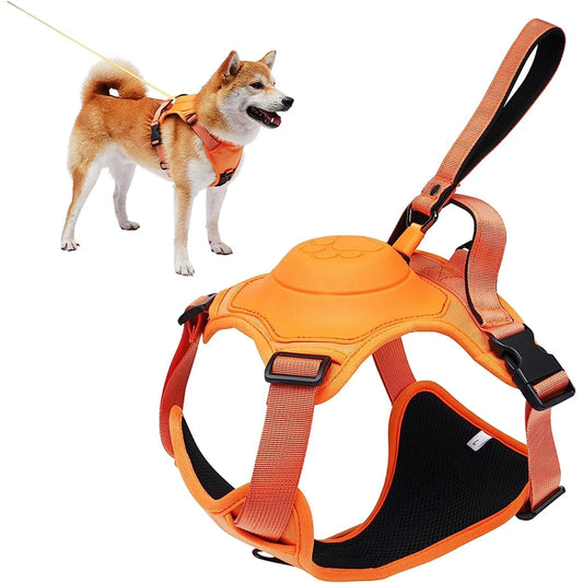 All-in-One Pet Leash